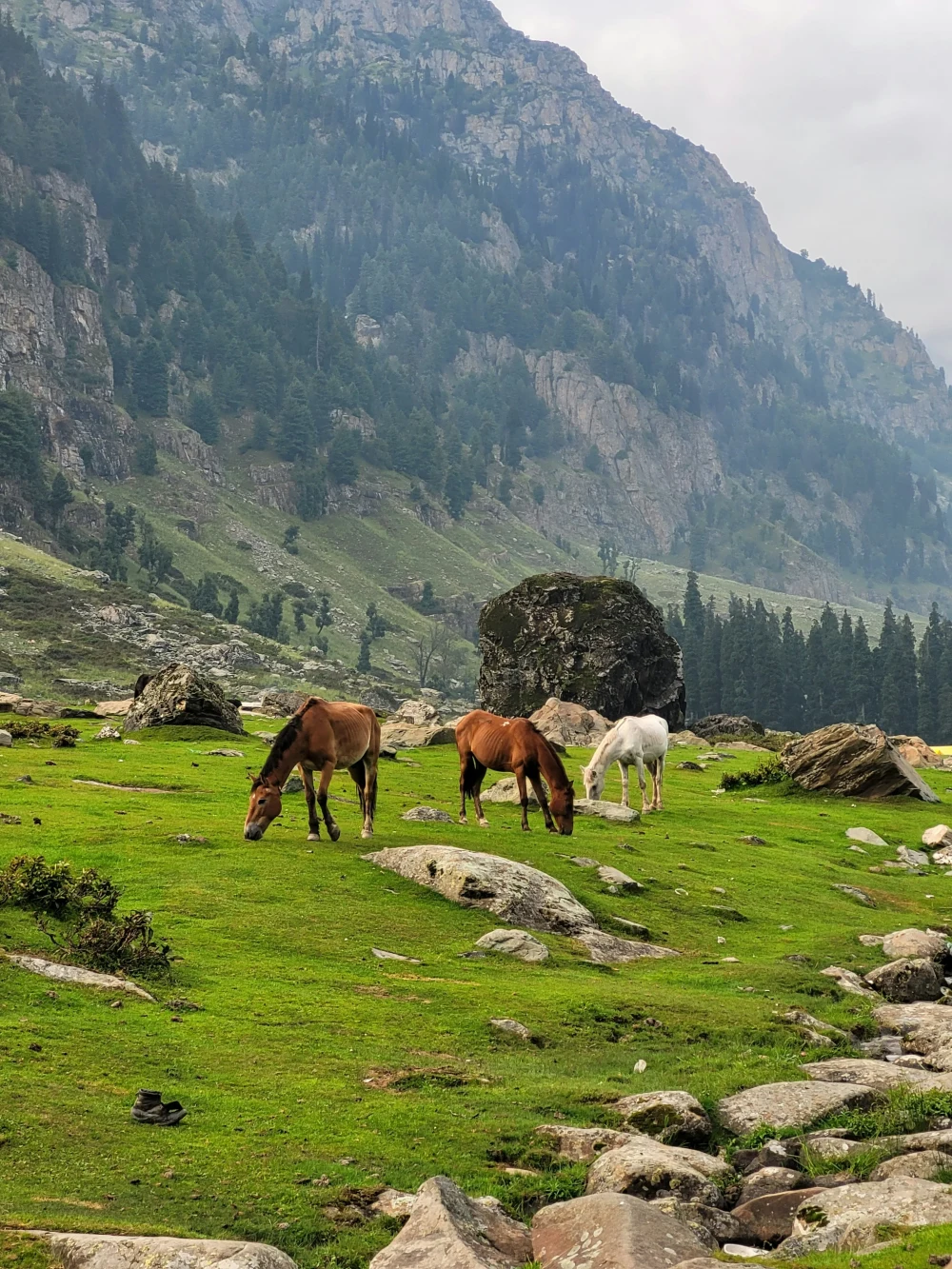 Srinagar Gulmarg Pahalgam Sonmarg Tour Package 6 Nights 7 Days | Kashmir Trip | TraveloChat
