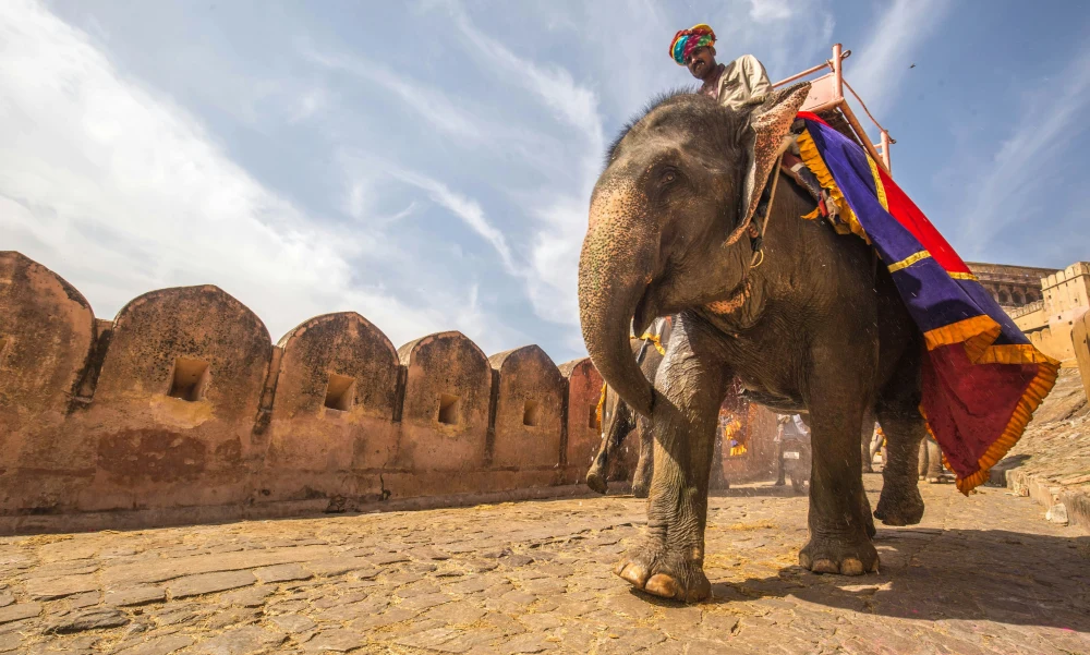 Rajasthan Tour Package 8 Nights 9 Days | Best Rajasthan Holiday Package | TraveloChat