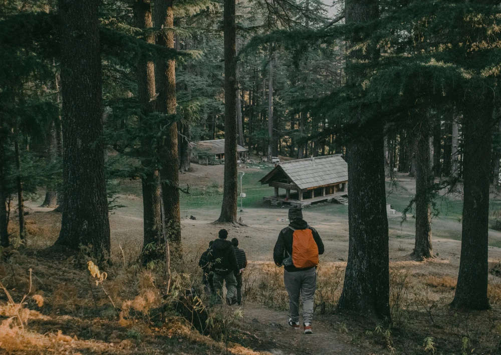 Shimla Manali Kasol Jibhi Tour Package 7 Nights 8 Days | TraveloChat