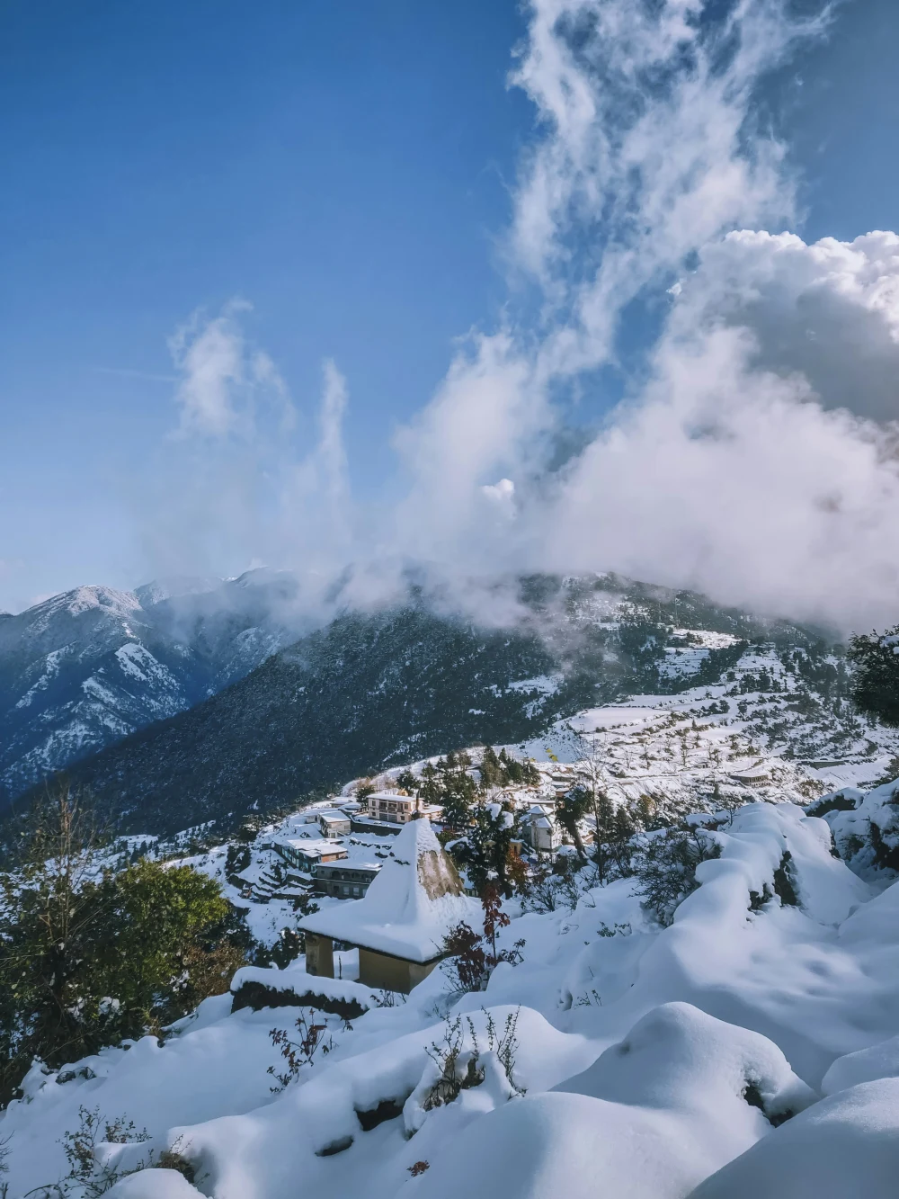 Shimla Honeymoon Tour Package (4 Nights / 5 Days) | Romantic Himachal Trip | TraveloChat