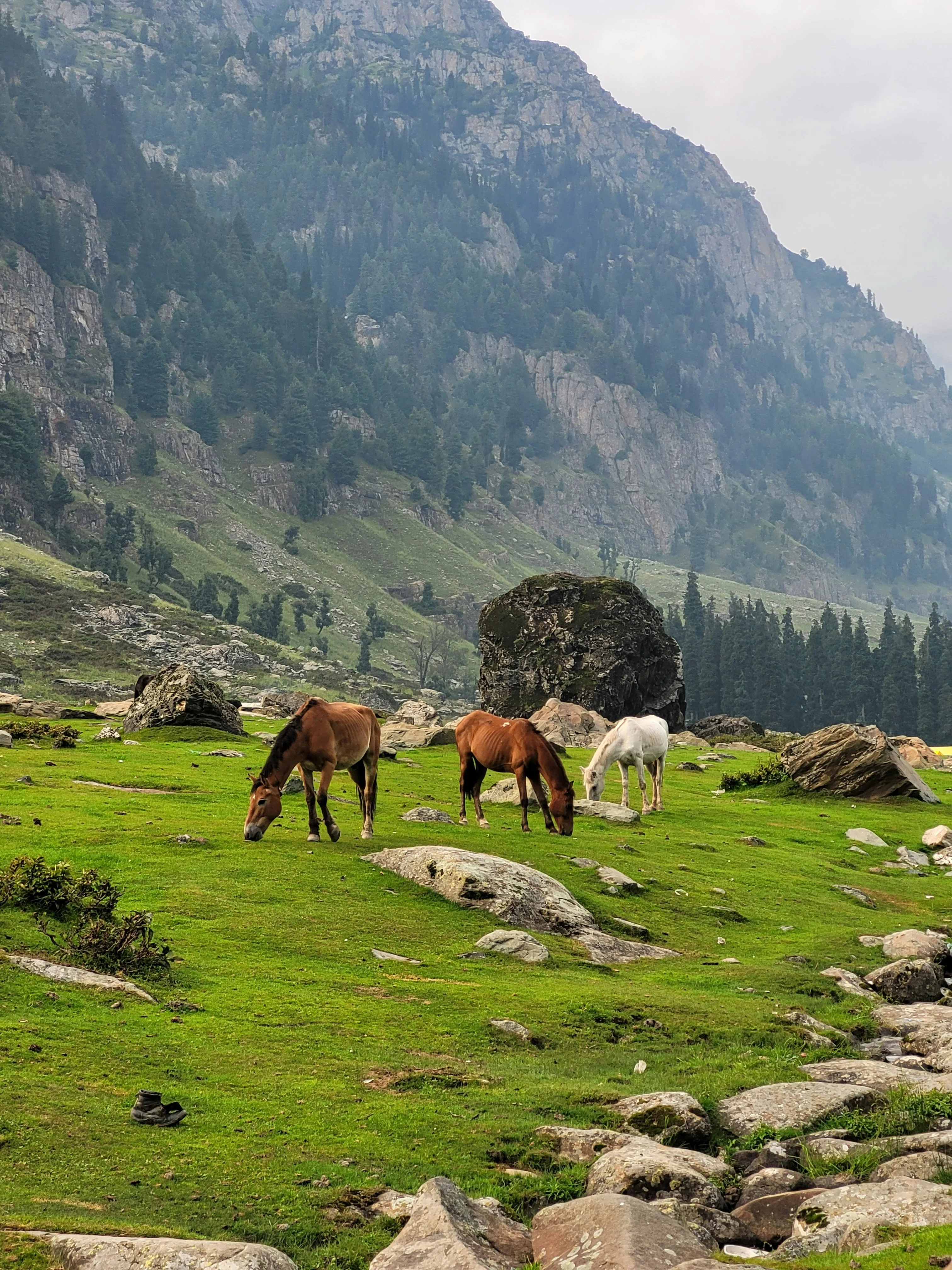 Hisar to Kashmir Tour Package – 3 Nights 4 Days | Travelochat